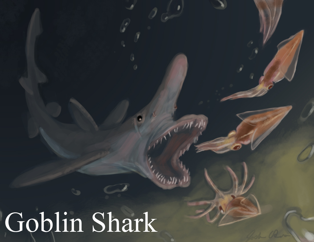 Goblin Shark Mouth 116