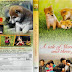 Chuyện Về Mari Và 3 Chú Cún Con - A Tale Of Mari And Three Puppies