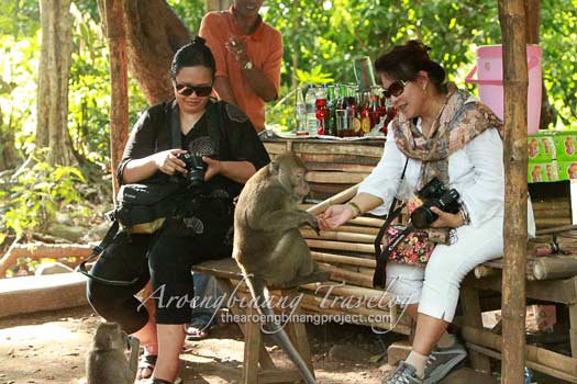 plangon cirebon