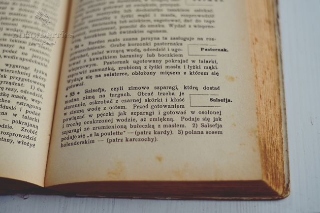 Salsefia a skorzonera Wężymord, skorzonera, salsefia
