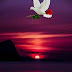 Top 10 good evening Images, Greetings, pictures for whatsapp-bestwishespics
