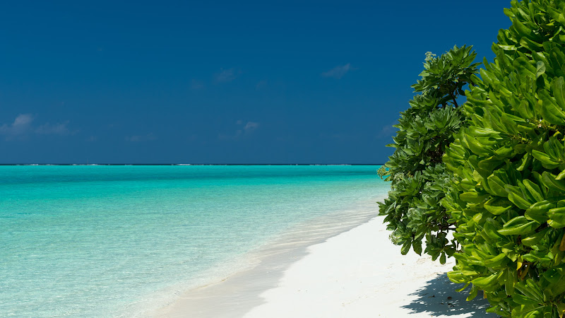 Turquoise Waters from Maldives