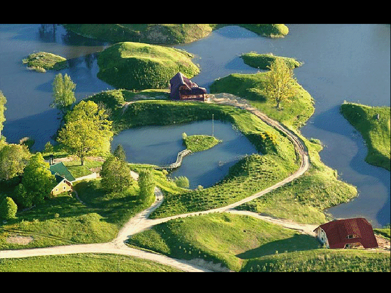 DESDEMISOFÁ LA LEYENDA DEL SAUCE LLORÓN