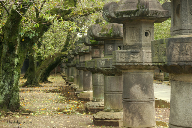 Ueno Park Toshogu Shrine