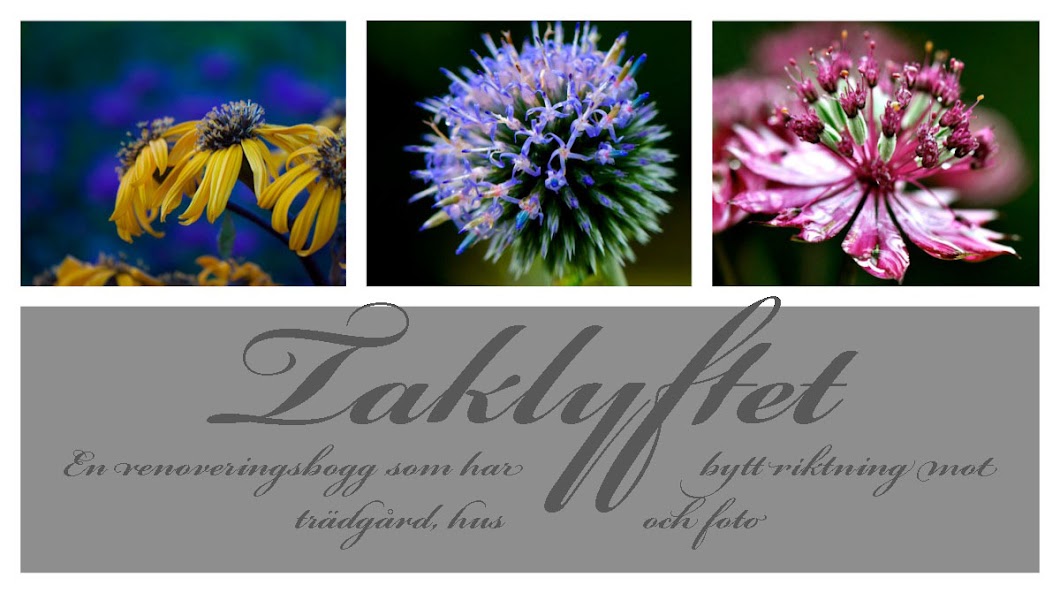 Taklyftet´s Garden Life