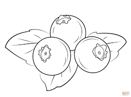 Blueberry coloring page 1