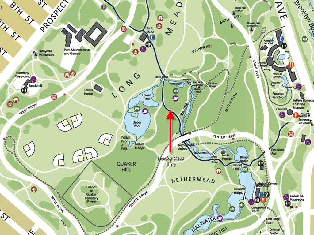 A Walk in the Park: Arson In Prospect Park's Most Sensitive Habitat and 