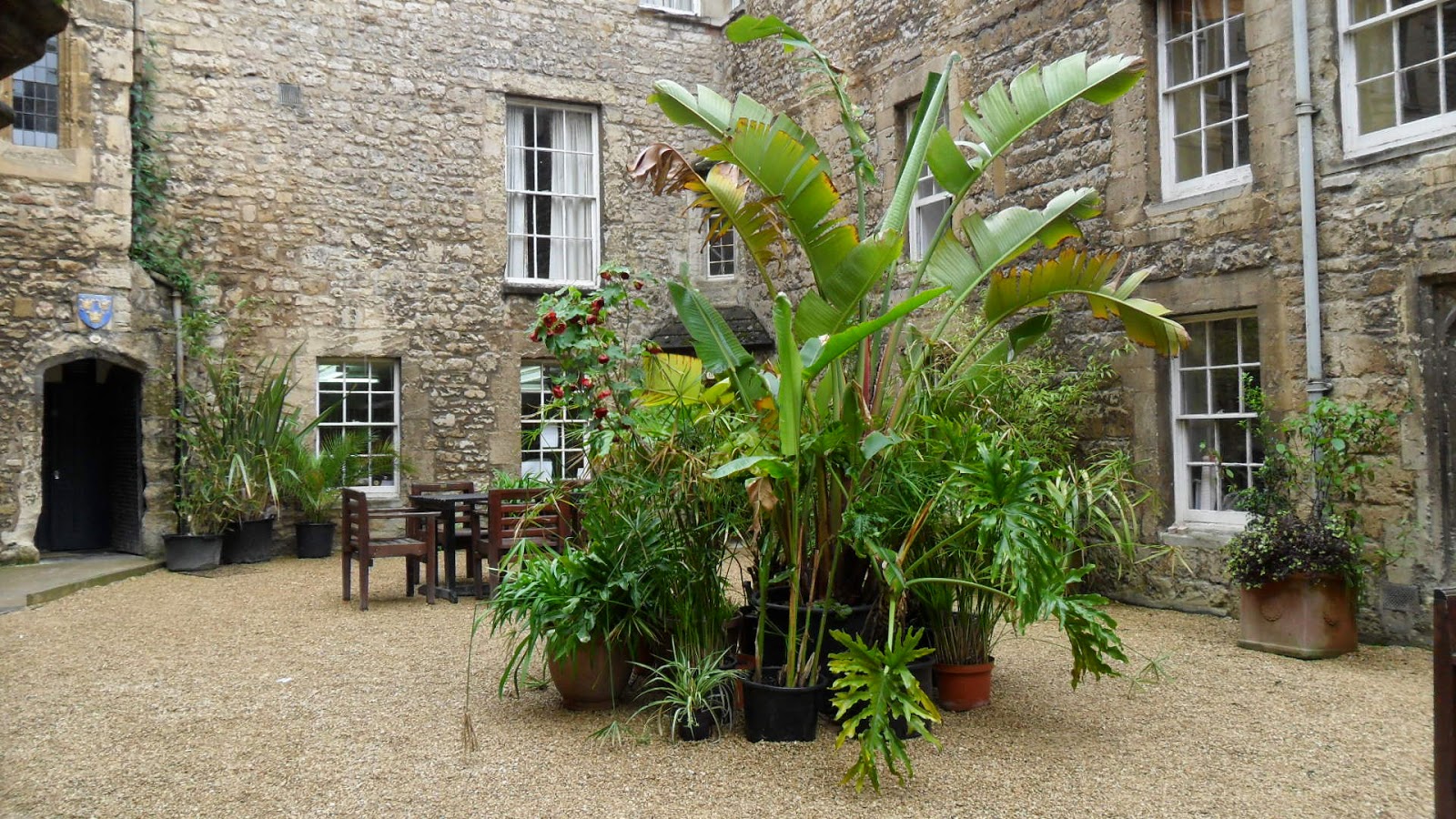 How to hide pot plants