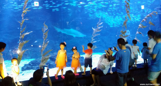 Niños y adultos difrutando de un gran acuario