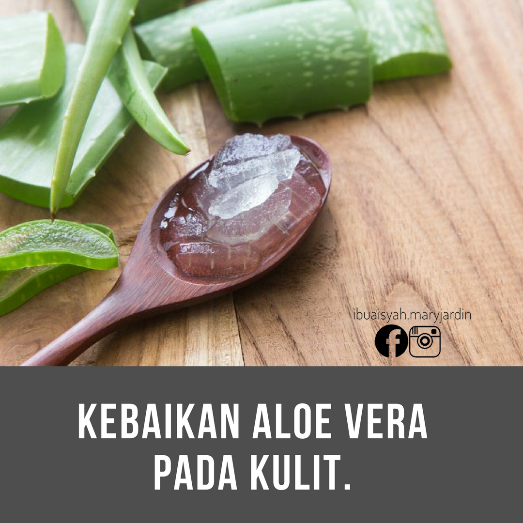 TIPS"Kebaikan Aloe Vera pada kulit." Mary Jardin By Ibu Aisyah