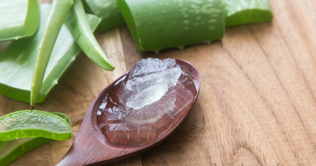 TIPS"Kebaikan Aloe Vera pada kulit." Mary Jardin By Ibu Aisyah