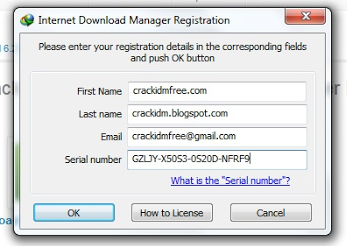 free internet download manager installer serial number