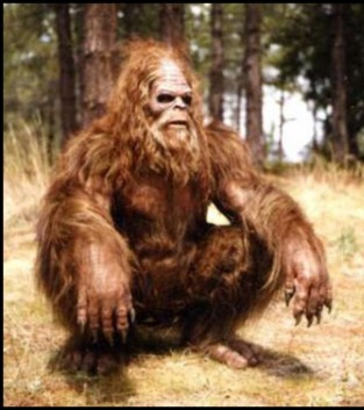 Bigfoot Conspiracy California sued for nonrecognition of Sasquatch