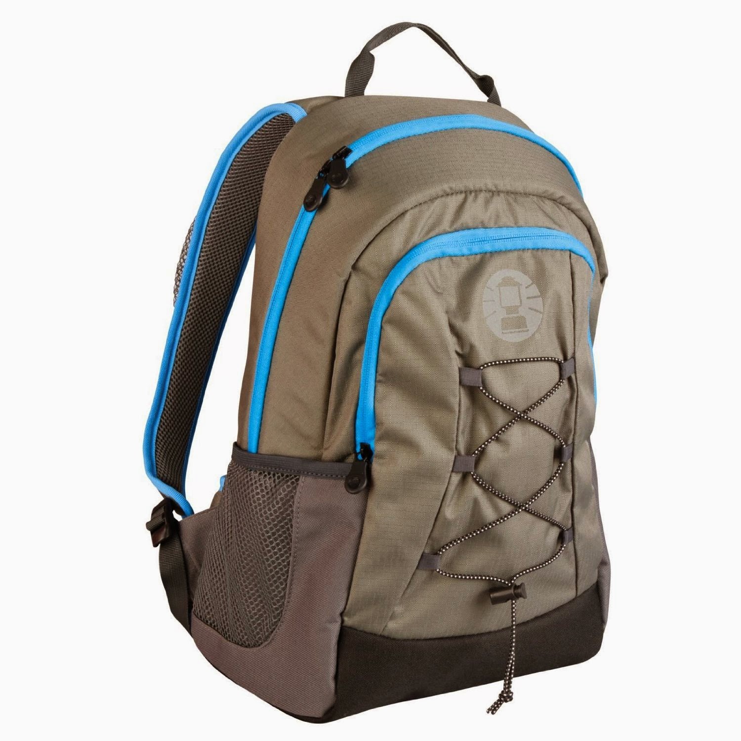 insulated cooler bag backpack