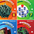 Matemática Ideias e Desafios - Livro do Professor