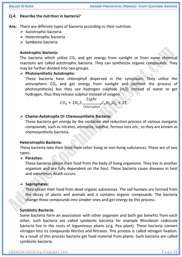 kingdom-prokaryatae-monera-short-question-answers-biology-11th