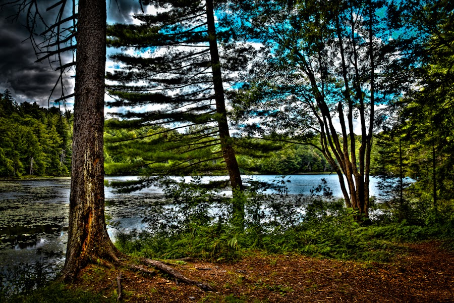 Adirondack Photography Approaching Cary Lake