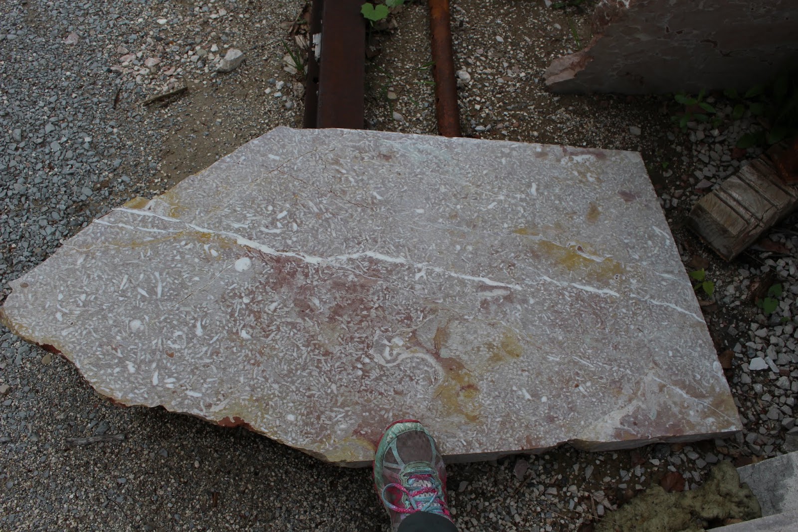 Finding Fossils...: May 2015