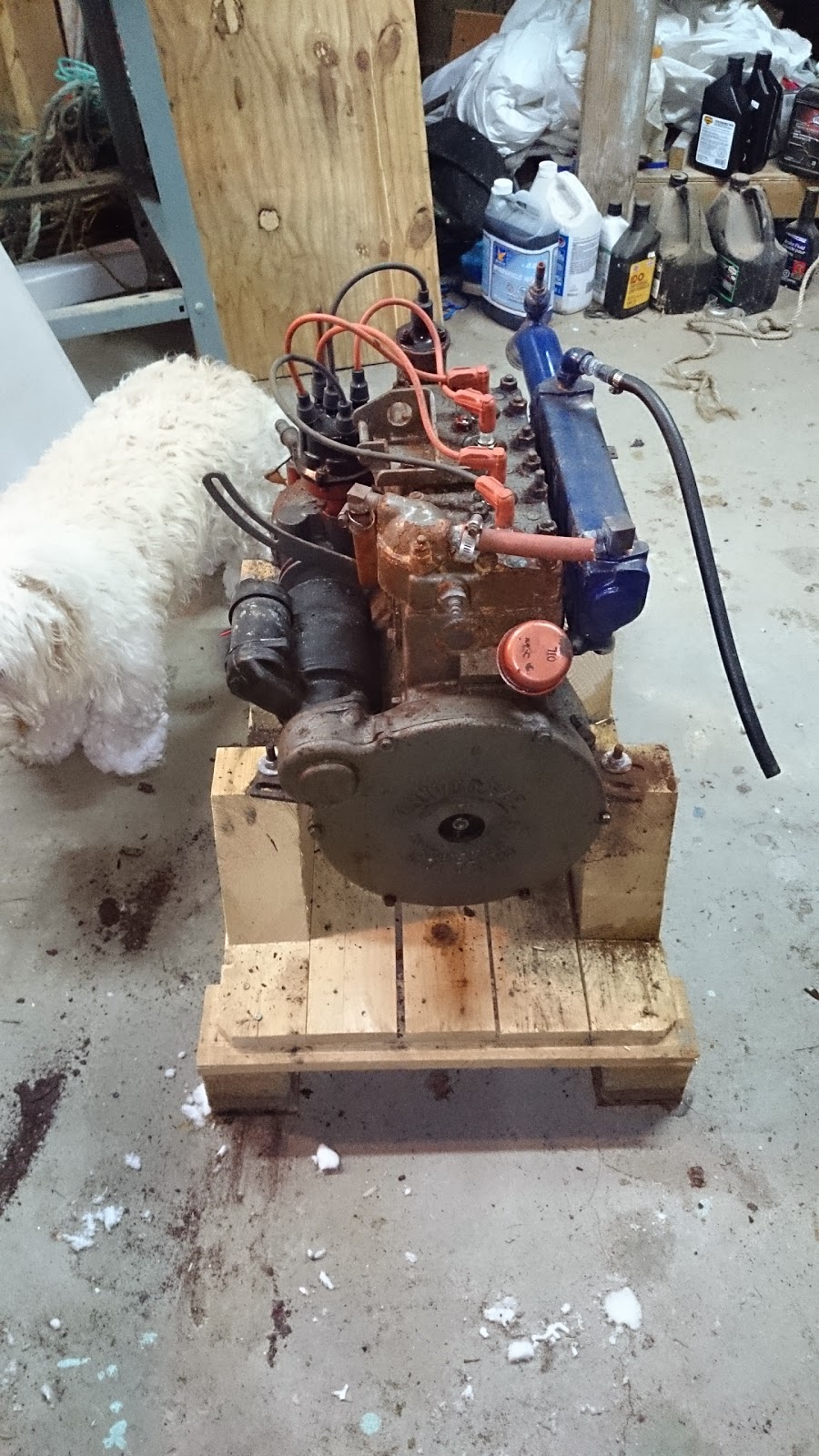 Atomic 4 Engine Rebuild Kit