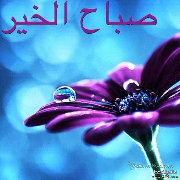 صور صباح الخير