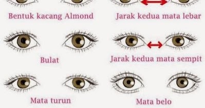 800+ Gambar Bentuk Mata Gratis 800+ Gambar Bentuk Mata Gratis