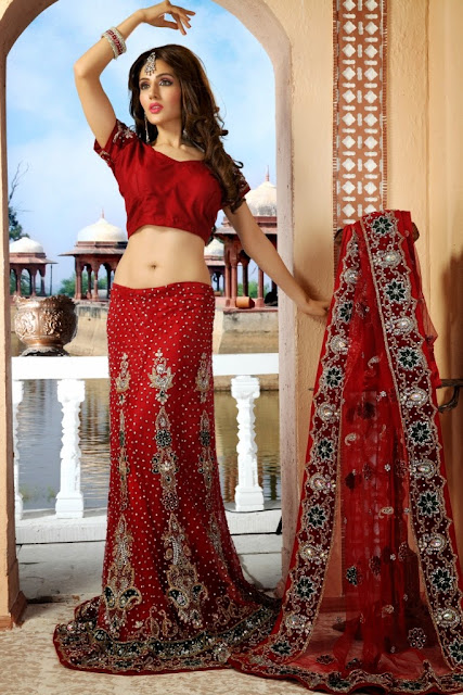 Image result for lehenga choli photo