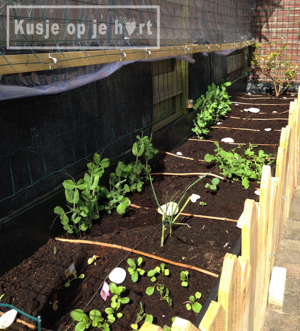 wat is goed voor je hart