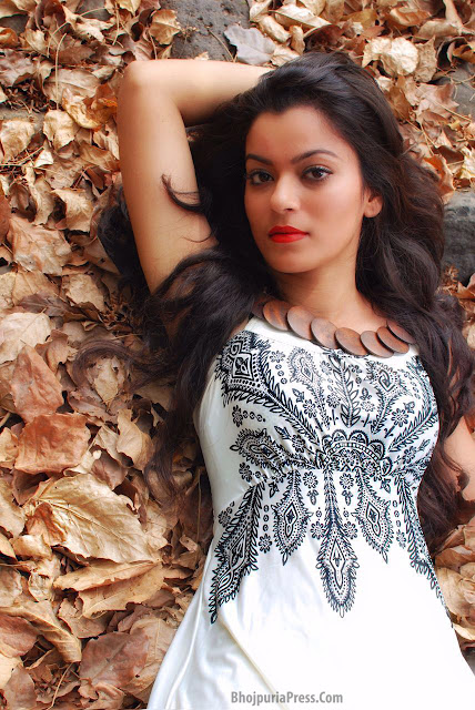 Nidhi Jha