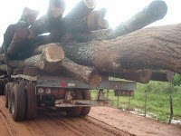 Paraguay antiguo exportador de Madera Nativa hoy importa leña para uso energético industrial