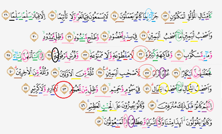 surah