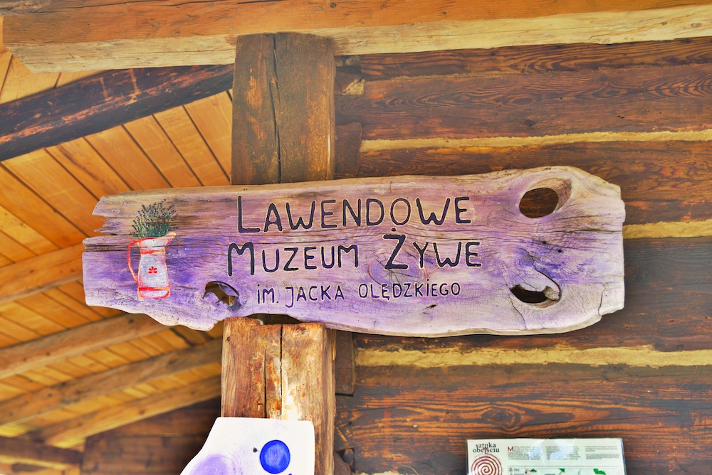 lawendowe pole Nowe Kawkowo, lawendowe pole, Warmia Mazury co zobaczyć, Warmia Mazury atrakcje turystyczne, Polska lawendowe pole