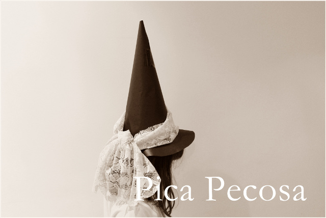 Pica Pecosa: Haz un sombrero de bruja DIY para Halloween con (sólo) una  bolsa de papel reciclada