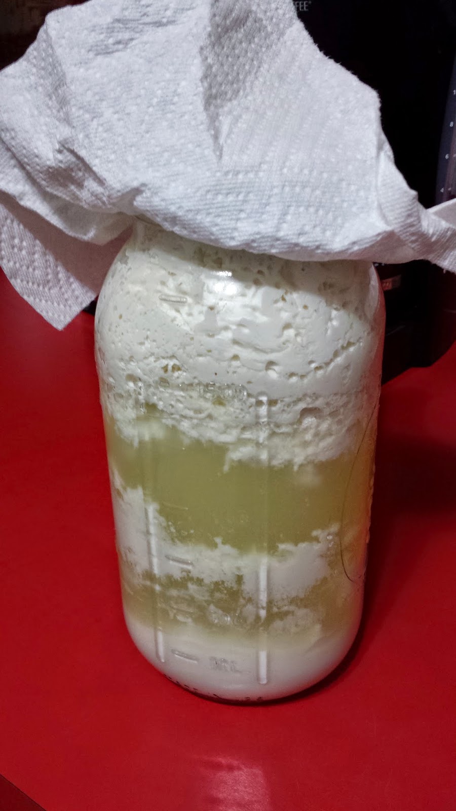 Raw Goat Milk Clabber / Cheese