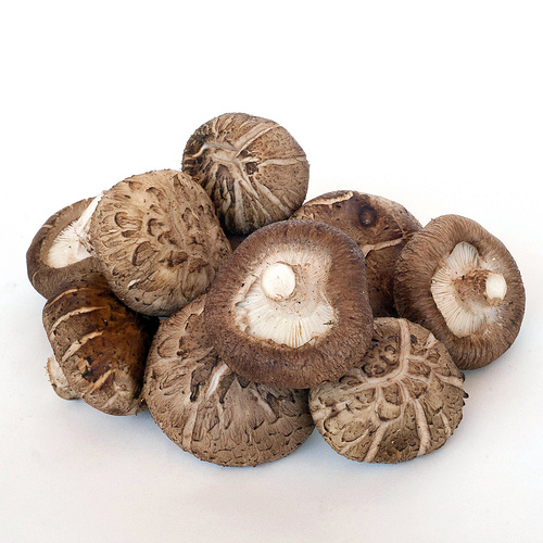 Behind the French Menu Shiitake or Lentin du Chêne The Shiitake