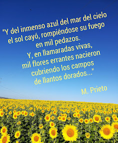 "GIRASOLES"