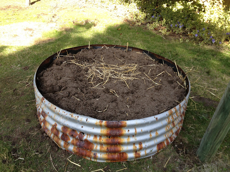 Hello From Tassie Old Water Tank, New Garden Beds