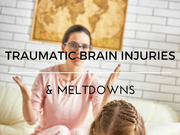 Feeling Buddies: Traumatic Brain Injuries & Meltdowns #FB4F