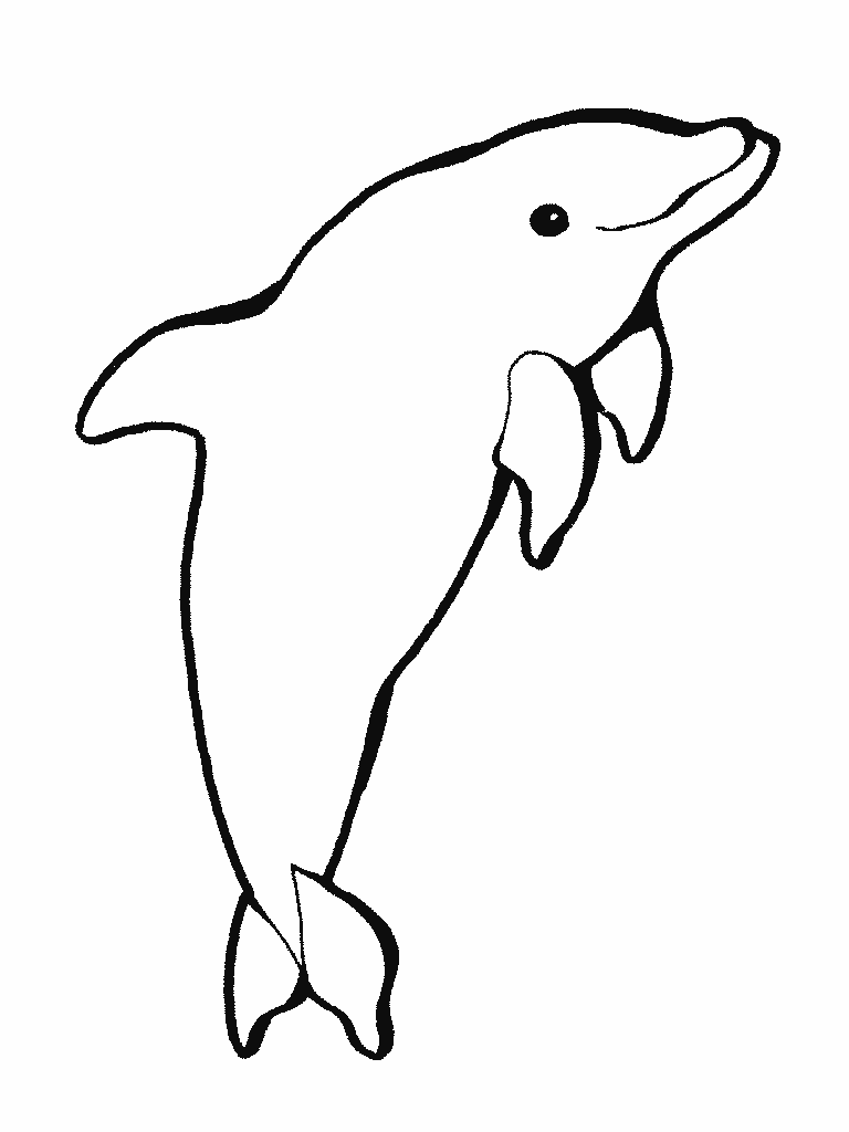 Animal drawings :Dolphin drawing black and white to color ~ Child Coloring