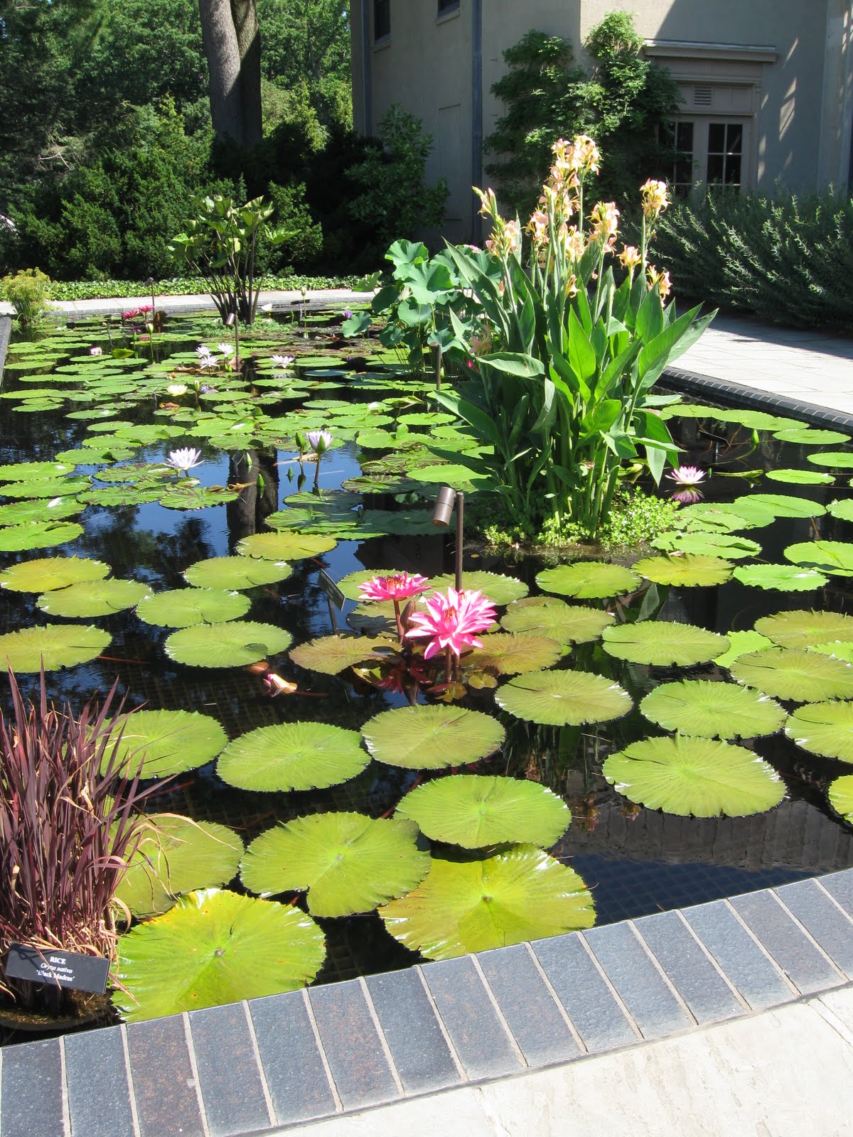 New Decade, New Chapter, New Hampshire: Wordless Wednesday - Pond