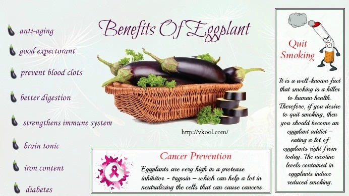 حب ما تعمل***: Benefits of Eggplant