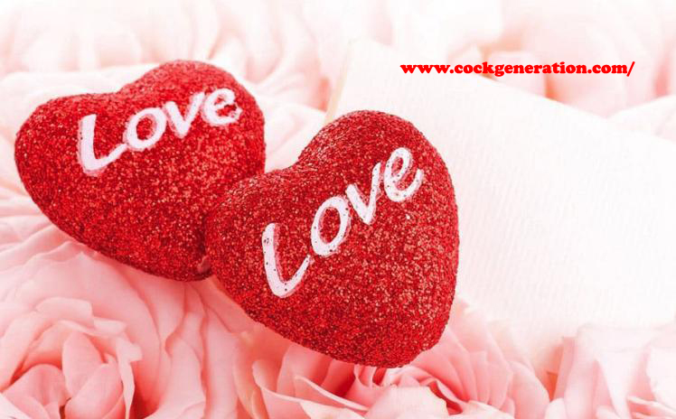 whatsapp status love status pictures whatsapp status pics