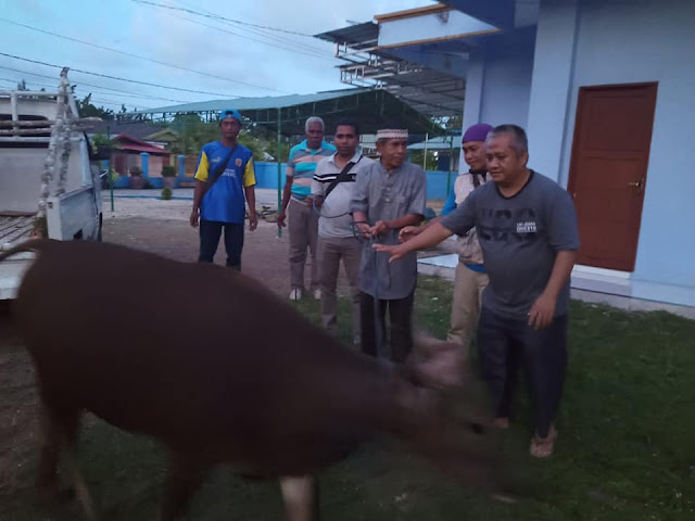 Herry Ario Naap Distribusikan 15 Sapi Masjid di Biak Numfor Saat Idul Adha Herry Ario Naap Distribusikan 15 Sapi Masjid di Biak Numfor Saat Idul Adha