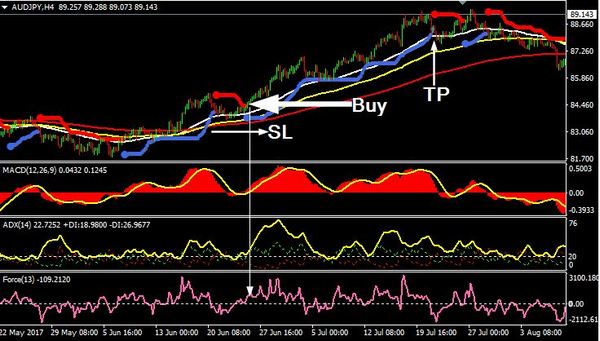 Starting A Hedge Fund Using Forex Trading Strategies | Hedge Fund Marketing Association