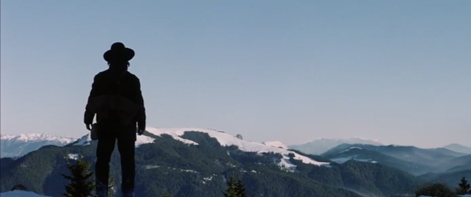 Cold mountain critical essays 08 image