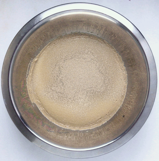 Bowl of Yeast Bowl of Yeast