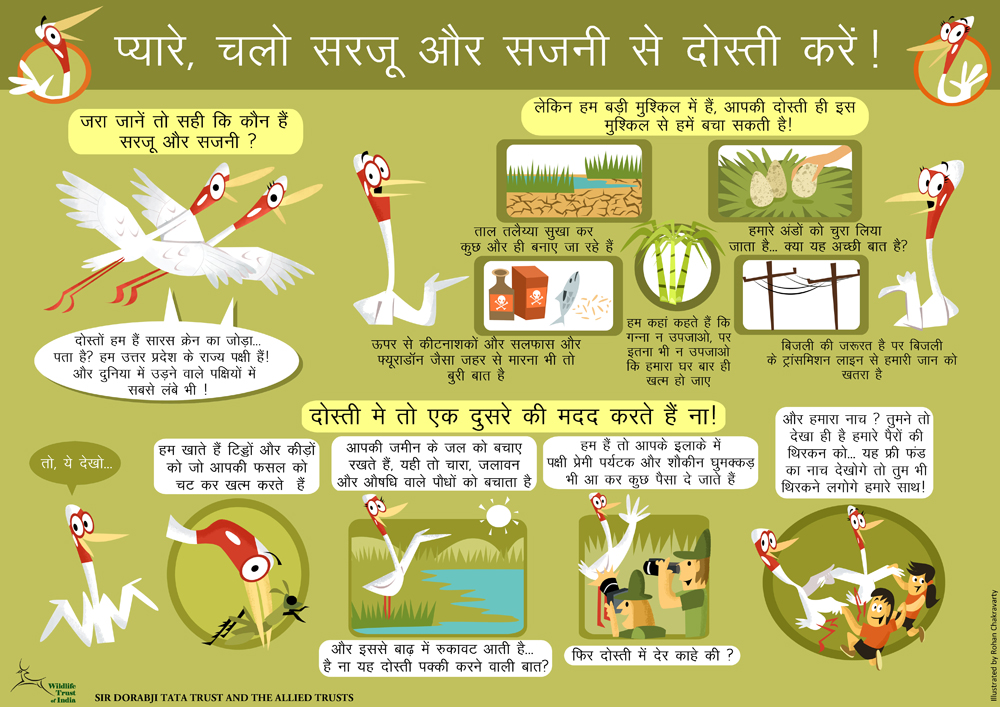 Green Humour: Sarju and Sajni- Sarus Cranes for WTI