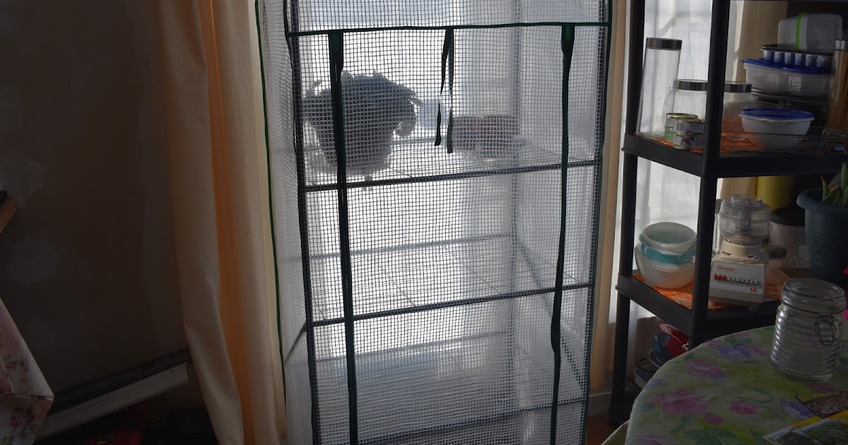 Purple Pixie Dust Greenhouse