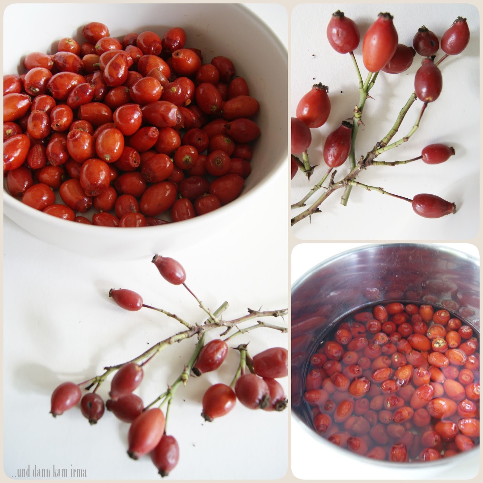 und dann kam Irma: Hemlagad nyponsoppa - eine traditionelle schwedische ... und dann kam Irma: Hemlagad nyponsoppa - eine traditionelle schwedische ...