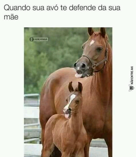 memes+engra%25C3%25A7ados+%25286%2529.jp