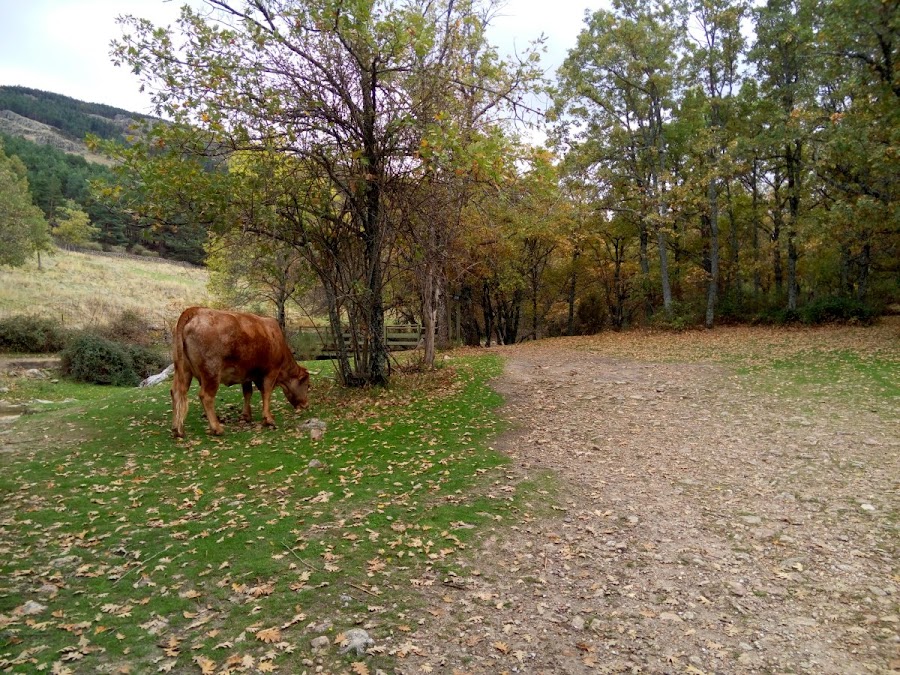 Ruta-cascadas-del-purgatorio-Rascafria